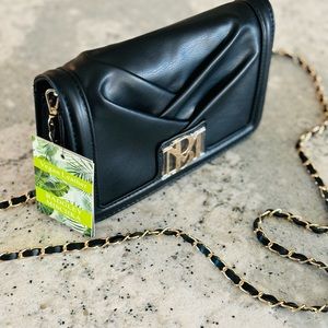 Badgley Mischka crossbody/clutch